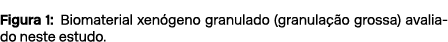 Figura 1: Biomaterial xen geno granulado (granula o grossa) avaliado neste estudo.