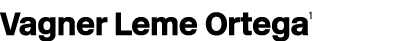 Vagner Leme Ortega1