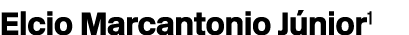 Elcio Marcantonio J nior1