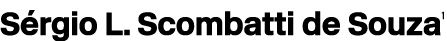 S rgio L. Scombatti de Souza1