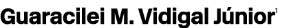 Guaracilei M. Vidigal J nior1